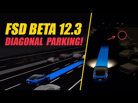 Tesla FSD Beta 12: It Diagonally Parked!!!