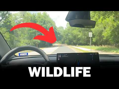 Tesla Robotaxi Encounters Wildlife For First Time