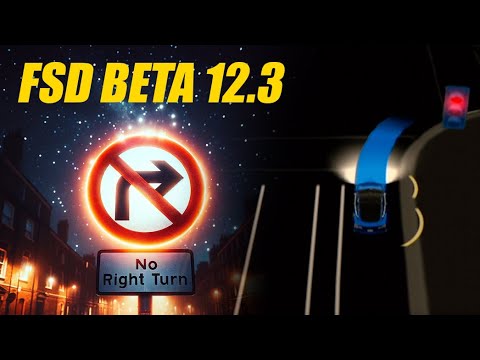 Tesla FSD Beta 12.3 - No Right On Red