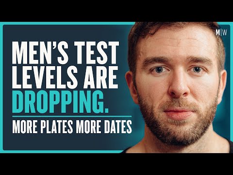 Testosterone, Bodybuilding & Confidence - More Plates More Dates | Modern Wisdom 561