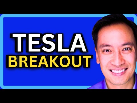 Tesla 2024: AI, Dojo, Licensing, and Tesla Bot Driving Excitement