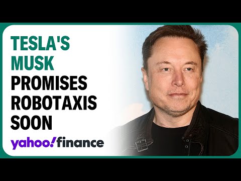 Analyst talks Tesla CEO Elon Musk's robotaxi promise