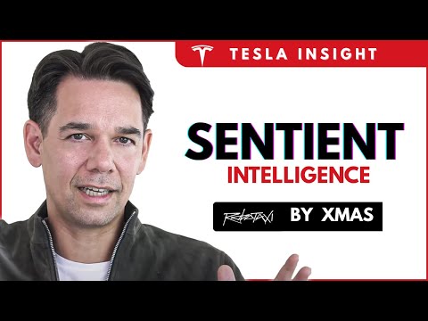 Why Tesla FSD Will EXPLODE in Capability