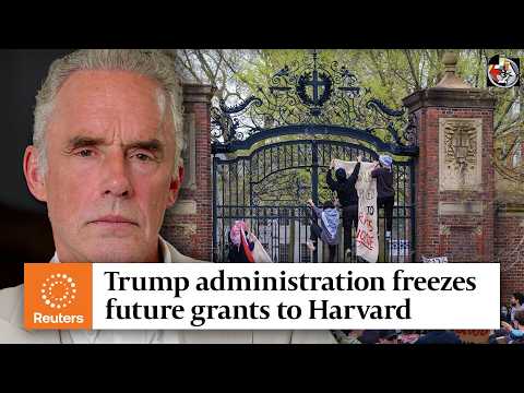 Reaction to Harvard: Scam? | Dr. Jordan B. Peterson
