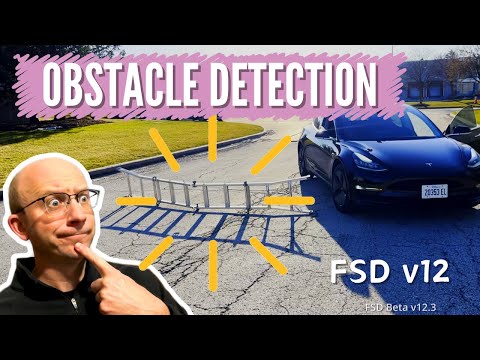 Tesla FSD Beta v12 Obstacle Testing - Ladder in Road