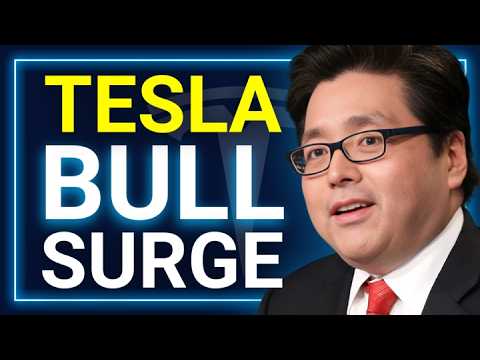 Wall Street Giants Just Went ALL-IN Tesla | Cern Basher