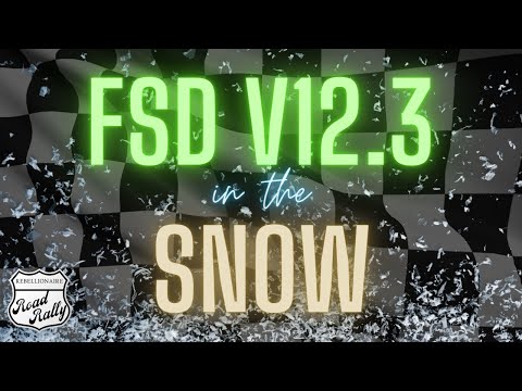 Tesla FSD V12.3 Snow Performance: Acceleration, Braking, Handling & Safety