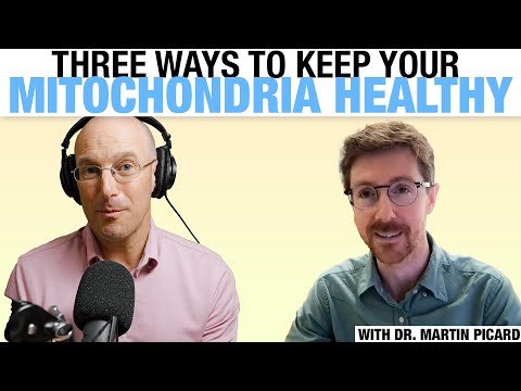 Mitochondria - The Key To Disease and Mental Health with Dr. Martin Picard