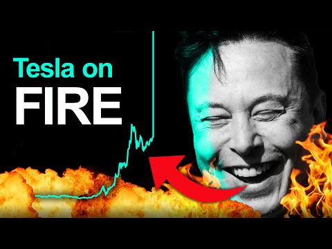 Tesla Stock Goes BALLISTIC (will it end?)