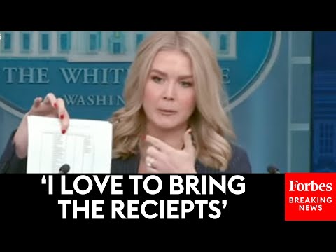 Karoline Leavitt Unveils DOGE Spending Cut Receipts During Press Briefing: ‘Another DEI Contract’