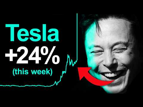 Why Did Tesla Stock SURGE This Week? FSD, DOGE, Elon Musk (All In Pod)