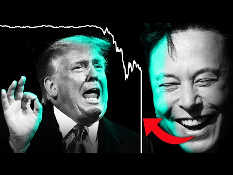 Tesla Stock Collapses As Elon & Trump Have EPIC Public Feud