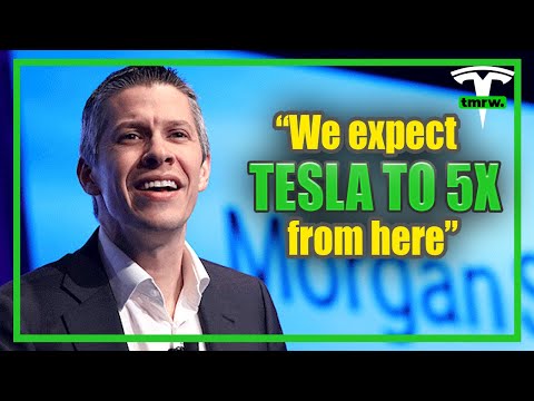 Morgan Stanley Brings MASSIVE NEWS to Tesla Stock Holders!