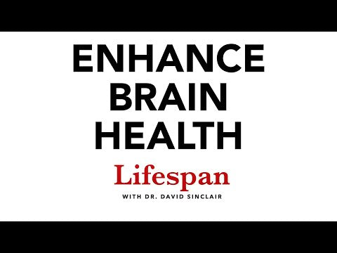 Prioritizing Brain Health: Preventing Cognitive Decline | Lifespan with Dr. David Sinclair