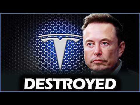 Analyst HARASSED Tech Author With Tesla FACTS !
