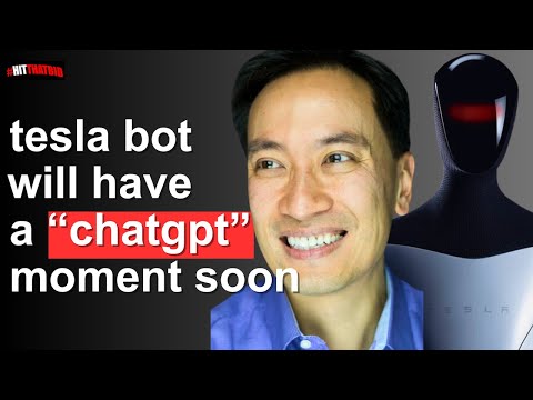 Watch Out For Tesla Bot: Why Tesla's 2024 Will Surprise All Investors, Robotaxis Are IMMINENT