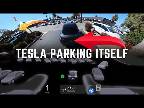 Tesla's New Vision-Only Auto Park Feature: Watch It Park Itself