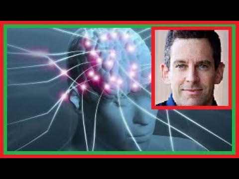 Sam Harris | Consciousness and AI