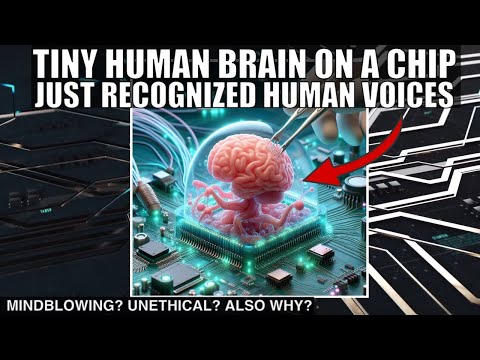 Lab Grown Brain Connected to a Microchip Recognized Human Voices