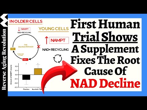 FIRST HUMAN TRIAL Shows A Supplement RESTORES Our Youthful NAD Production & FIXES NAD Decline