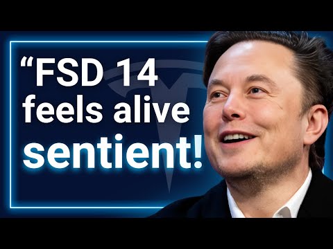 Elon Musk Just Changed Everything